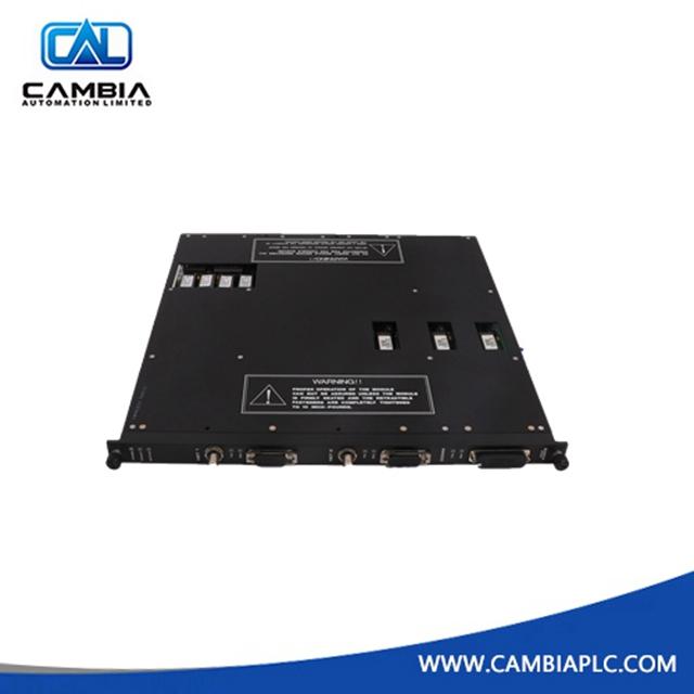 Triconex 240V DC Module power 8312